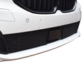 BMW F40 1 Series M-Sport M135i Centre Grille Mesh Protector Kit by Zunsport