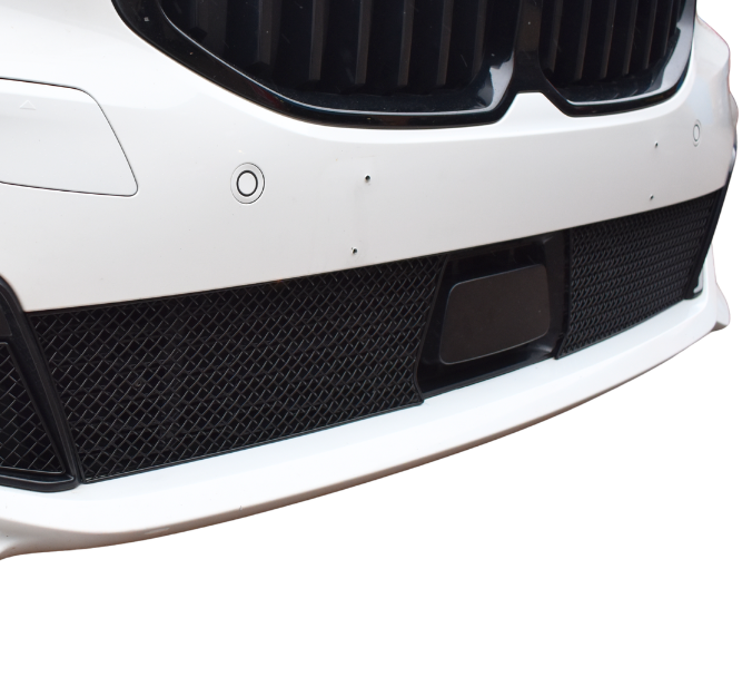 BMW F40 1 Series M-Sport M135i Centre Grille Mesh Protector Kit by Zunsport