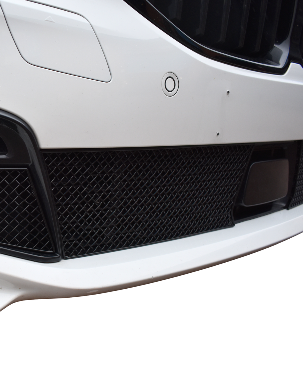 BMW F40 1 Series M-Sport M135i Centre Grille Mesh Protector Kit by Zunsport