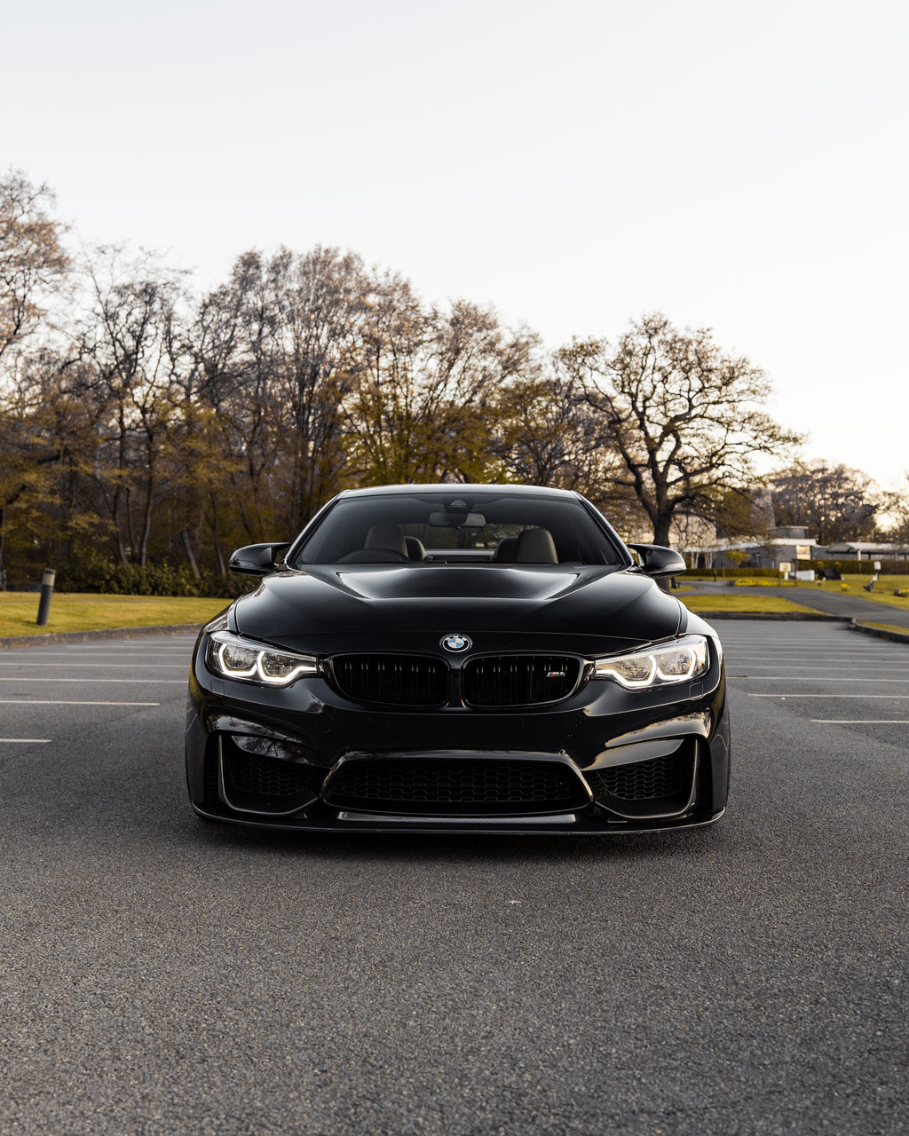 Essentials BMW M3 F80 & M4 F82 Aluminium GTS Front Bonnet (2014-2020)  Front Hood  AUTOID®