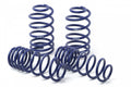 Audi RS5 B10 Lowering Springs by H&R (2026+)