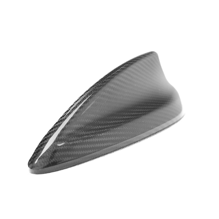 Carbon Roofs & Accessories