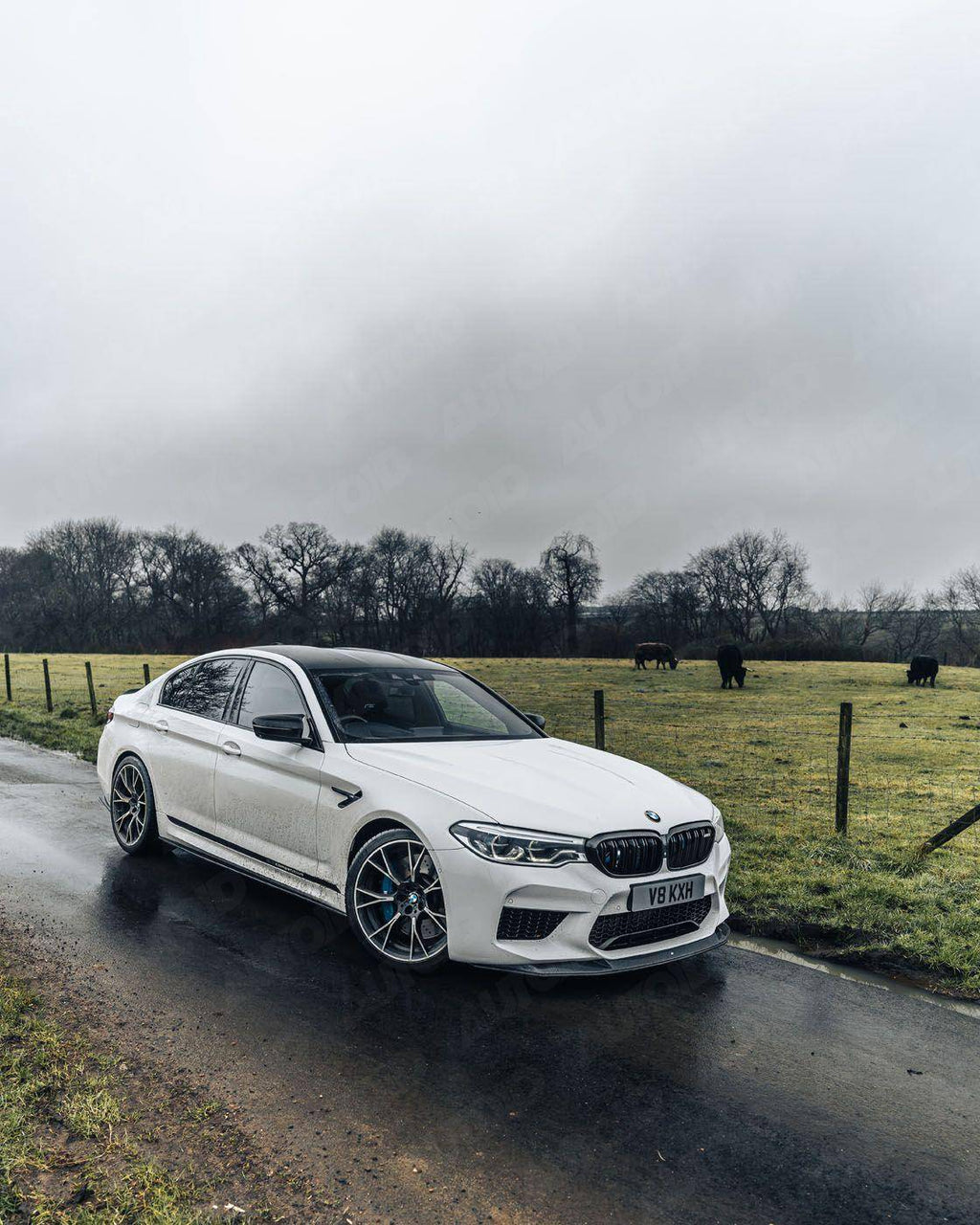 BMW M5 F90 Carbon Fibre Competition Front Splitter by FORM (2017-2020) - AUTOID® - Front Lips & Splitters - FORM Industries