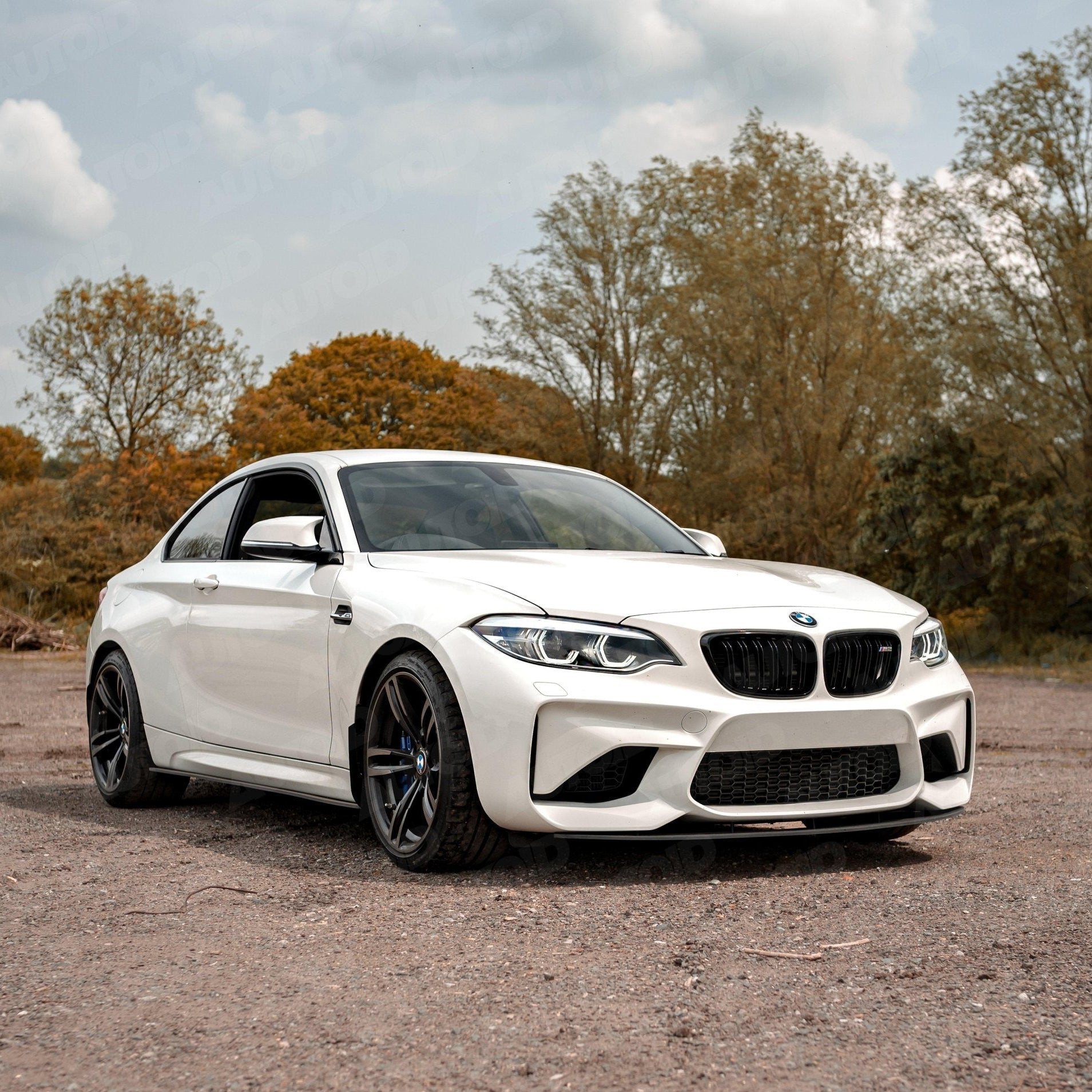 TRE Performance Painted Wing Mirror Unit for BMW (2012 - 2019, F20 F21 F22 F30 F32 F87) - AUTOID - Mirror Covers - TRE